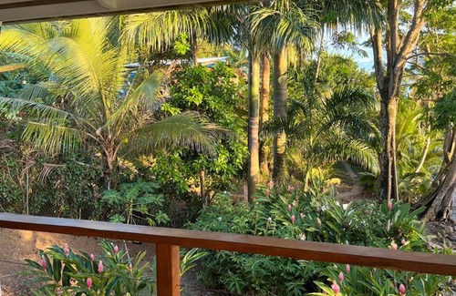 Isla Solarte Casa | Casa de la Selva Casablanca Isla Solarte Bocas del Toro