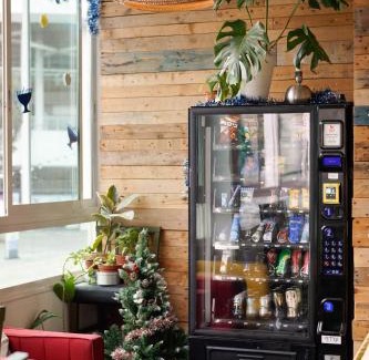 Jaffa Hostal | Jungle Jaffa Hostel Age 18 to 45