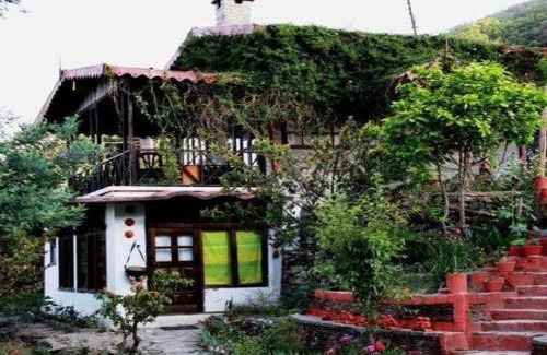 Pangot Cabina | Jungle Lore Birding Lodge