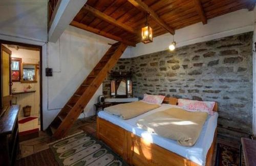 Pangot Cabina | Jungle Lore Birding Lodge
