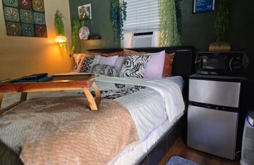 Temple Terrace Apartamento | Jungle Oasis By Busch Gardens USF and Amphitheater