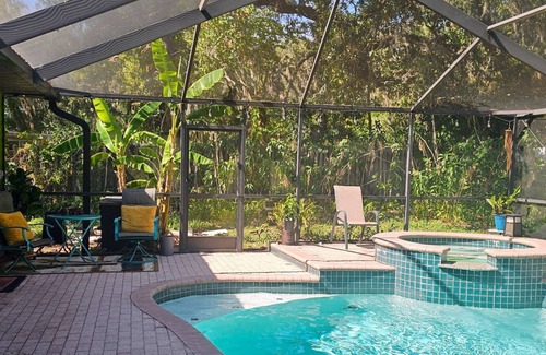 Temple Terrace Apartamento | Jungle Oasis - Close to Busch Gardens, USF, Amphitheatre & Florida Fairgrounds