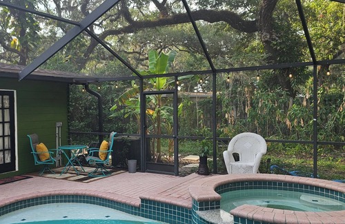 Temple Terrace Apartamento | Jungle Oasis - Close to Busch Gardens, USF, Amphitheatre & Florida Fairgrounds