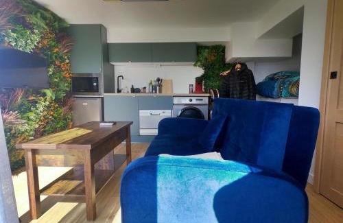 Les Carroz-d'Araches Apartamento | Jungle room au centre des Carroz