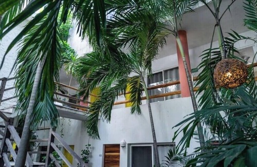 Luis Donaldo Colosio Apartamento | Jungle Room on 5th 10&12 C05