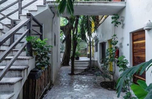 Luis Donaldo Colosio Apartamento | Jungle Room on 5th 10&12 C05