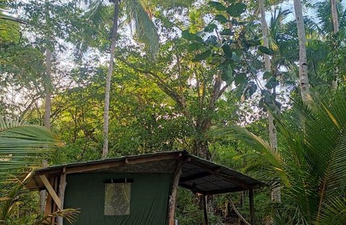 Paquera Otro | Jungle Tent 3x3, Latino Glamping & Tours, Paquera