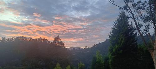 Coonoor Casa | Jungle view