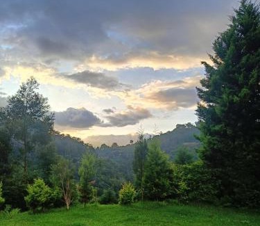 Coonoor Casa | Jungle view