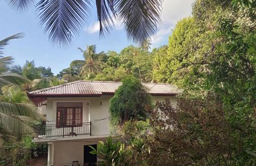 Rambukkana Casa | Jungle Village Homestay