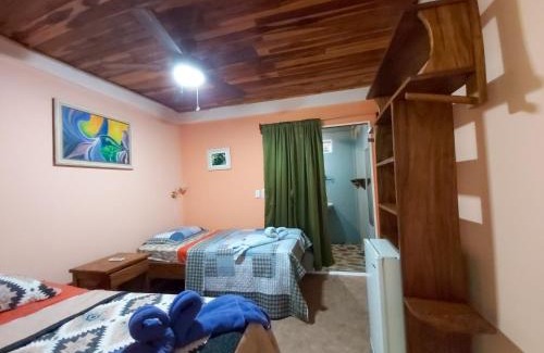 Nosara Hotel | Jungles Edge Hotel, Jiu Jitsu, Muay Thai Retreat Center