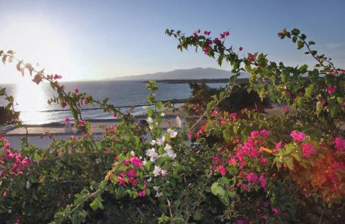 Naxos Apartamento | Junior paradise!