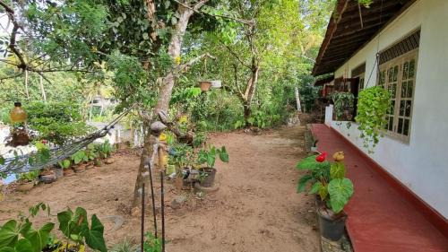 Mulatiyana Casa | Juno Homestay