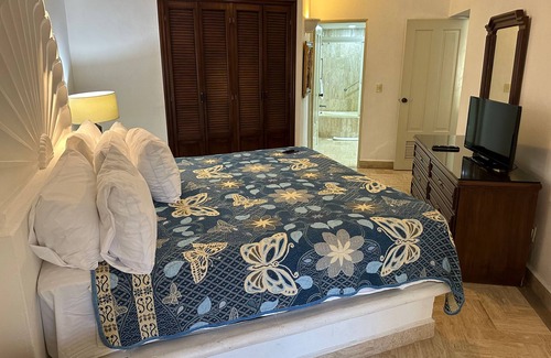 Marina Vallarta Condominio | Just Available March 8th to March 19th 2024