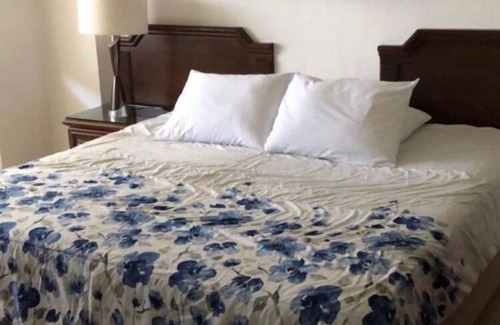 Marina Vallarta Condominio | Just Available March 8th to March 19th 2024