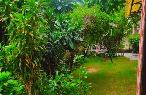 Sindhi Camp Casa | Jwala Niketan Eco Homestay