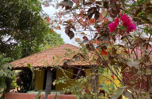 Ziguinchor Casa | Kër Mayane