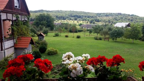 Simonesti Casa | Kúria Vendégház