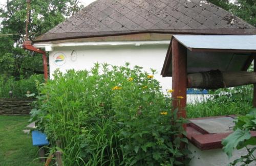 Kiev Oblast Casa | Kалиновий Kущ