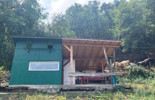 Vitosha District Casa | Kъщичка в полите на планина Витоша с коне и животни