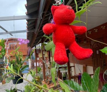 Chiang Khan Casa | K Khan Garden at Chiang Khan Walking Street