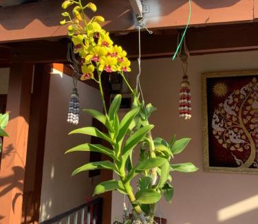 Chiang Khan Casa | K Khan Garden at Chiang Khan Walking Street