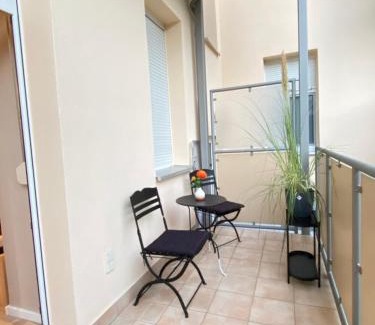 Schloßchemnitz Apartamento | K2-Project - Dschungel-Abenteuer