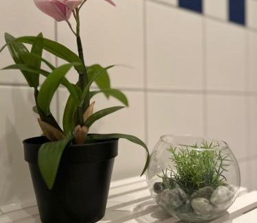 Kaßberg Apartamento | K2-Project - JugendSTIL - Kaßberg pur erleben
