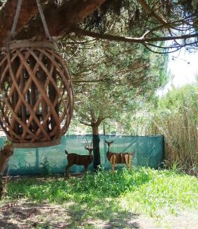 Atalaia Otro | Kabaceira Glamping