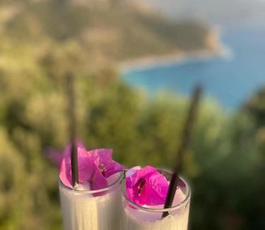 Kabak Valley Cama Y Desayuno | Kabak Armes Otel