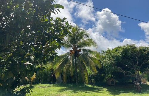 Petit-Bourg Casa | Kaban malaka