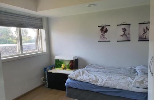 Kabelvag Apartamento | Kabelvåg Apartment