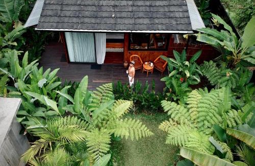 Melayang Cama Y Desayuno | Kabinji Bali