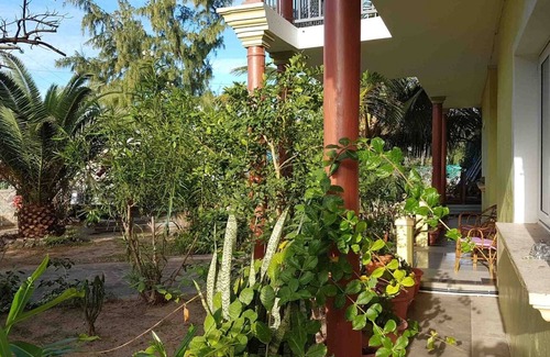 Coromandel Casa | Kafé Marron: Guesthouse, 100m from beach. 4 rooms for rent, half-board option