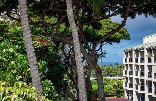 Historic Kailua Village Casa | Kailua Bay Resort 4-206 Corner Oceanview Downtown Unit