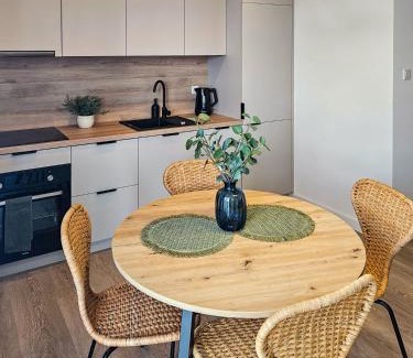Olsztynek Apartamento | Kairos Apartments -Portos- darmowy parking, klimatyzacja