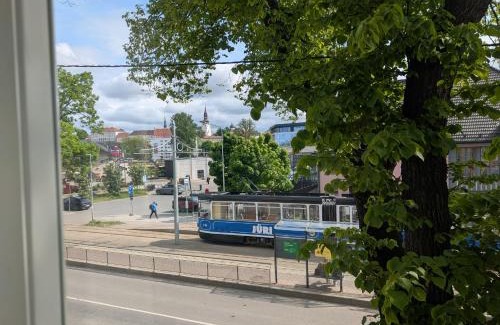 Kalamaja Apartamento | Kalamaja apartment with old town view!