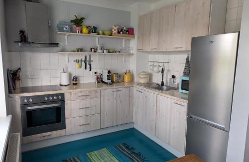 Kalamaja Apartamento | Kalamaja apartment with old town view!