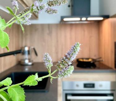 Kesklinn Apartamento | Kalevi Panorama
