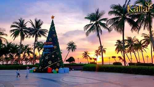 Duong To Hotel | Kalia Hotel