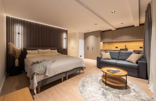 Cesis Apartamento | Kalnu dzīvoklis (The hill condo)