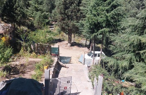 Kalpa Casa | KALPA JUNGLE RETREAT