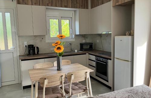 Kamena Vourla Apartamento | Kamena Home Apartment in Kamena Vourla