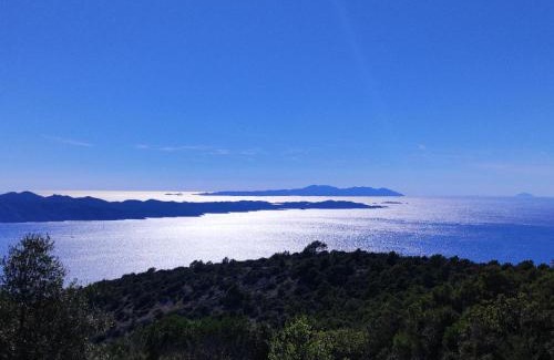 Murvica Apartamento | Kameni cvijet