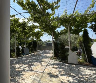 Qerek Apartamento | Kameri apartments