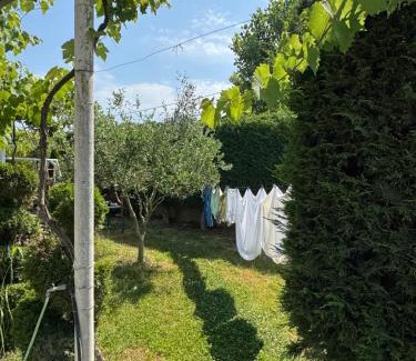 Qerek Apartamento | Kameri apartments