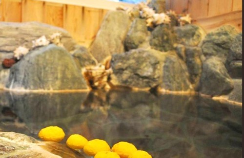 Higashiizu Hotel | Kamo-gun - Hotel / Vacation STAY 50721