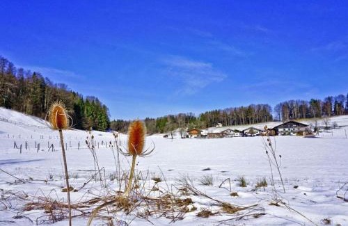 Aschau im Chiemgau Casa | Kampenwand view