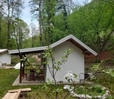 Mali Radic Apartamento | Kanjonj rijeke une