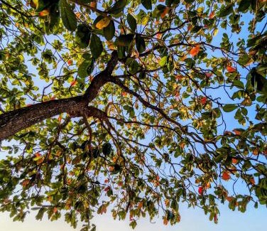 Bagamoyo Casa | Kaole Home Stay
